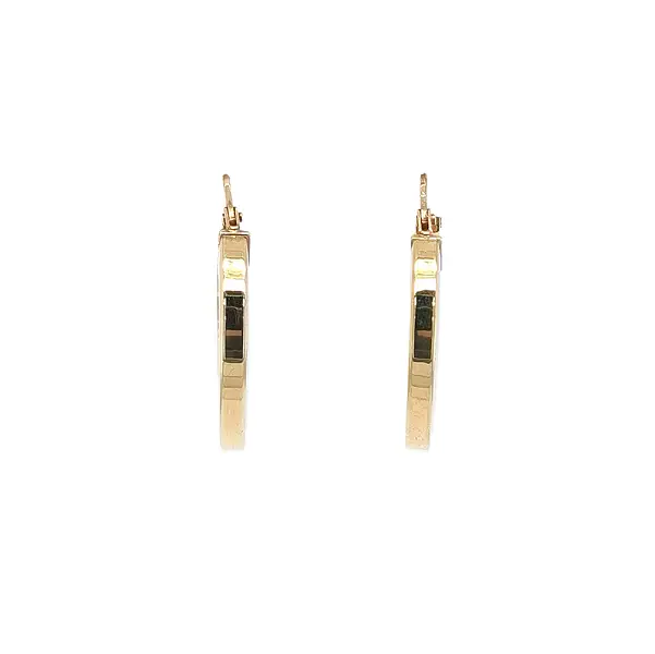 Элегантные золотые серьги-кольца