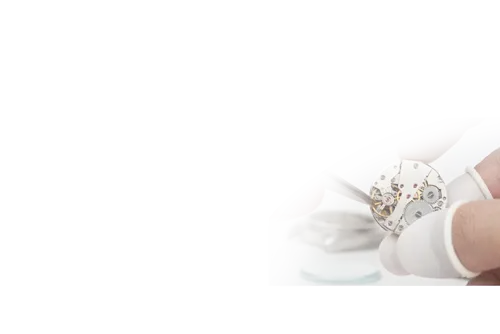 Профессиональный сервис